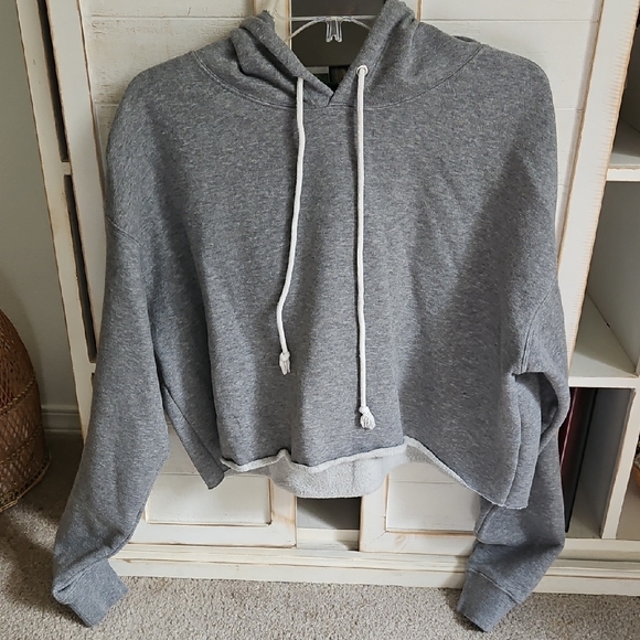 Wild Fable Heather Gray Cropped Hoodie - Picture 1 of 3